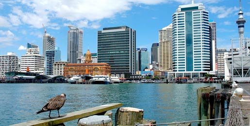 Noleggio camper Auckland