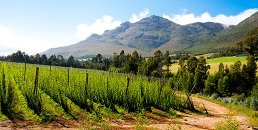 Noleggio camper George