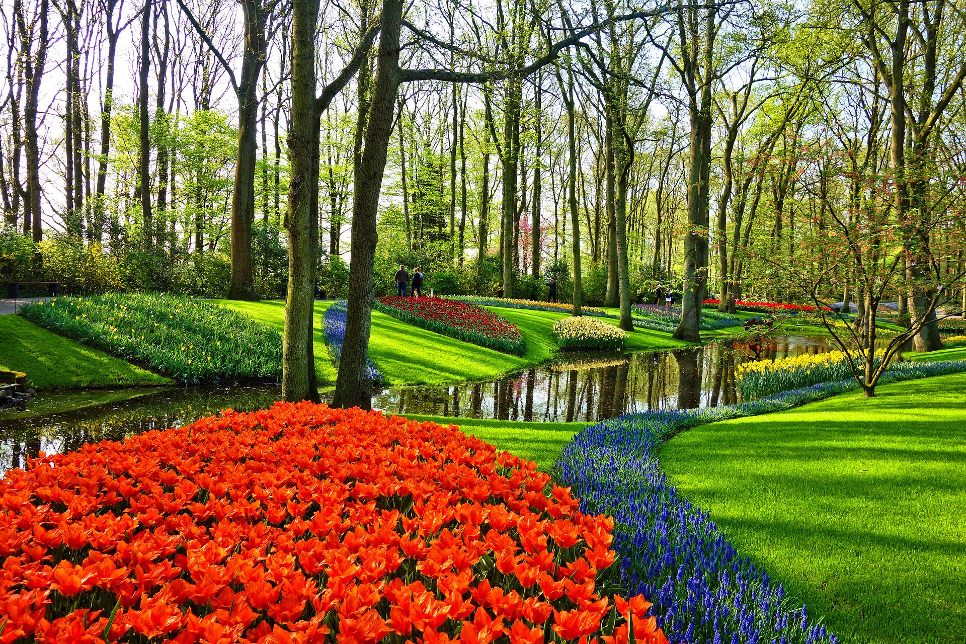 I giardini di Keukenhof - Olanda