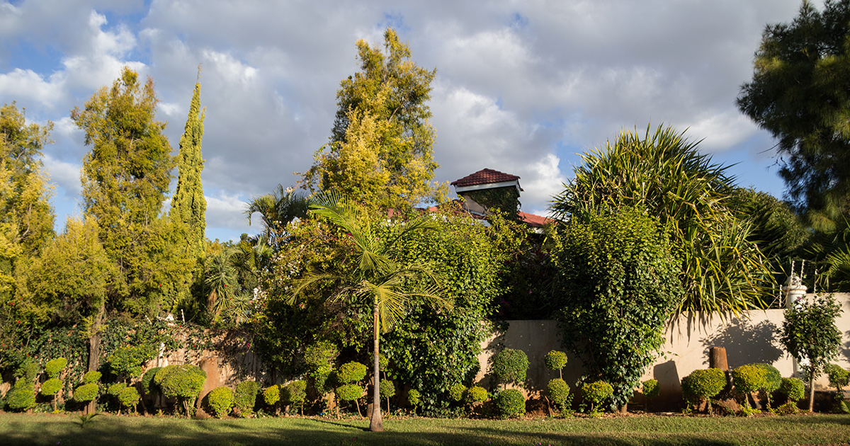 Noleggio camper a Lusaka