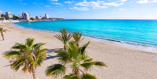 Noleggio camper Alicante