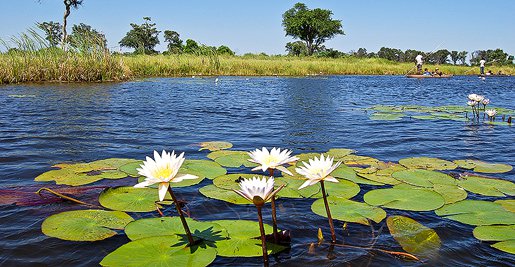 Noleggio camper Maun