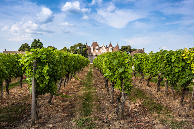 Road trip a Bergerac, Francia