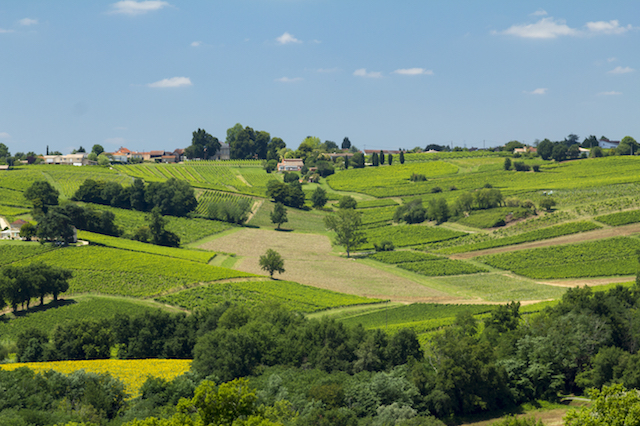 Road trip a Bordeaux, Francia