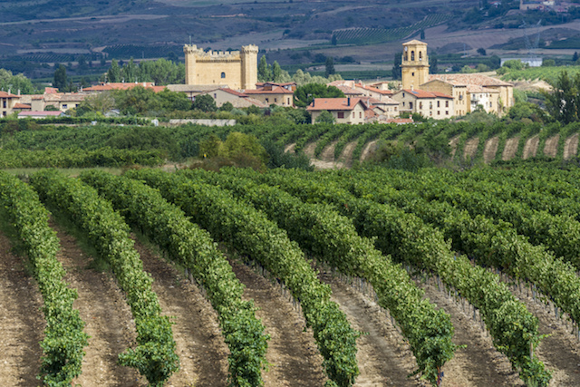 Road trip ad Haro, Spagna