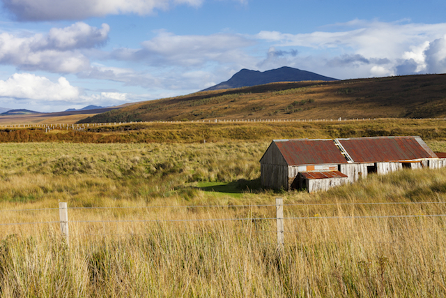 Road trip a West Knockbain ed a Muckernich Wood