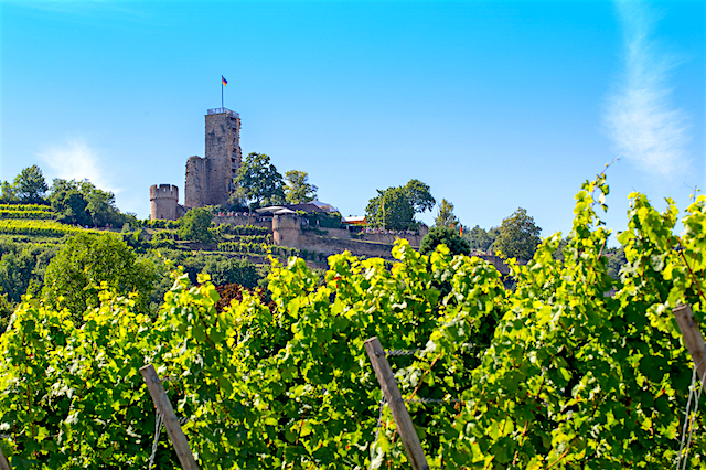 Il nord della strada del vino, Germania