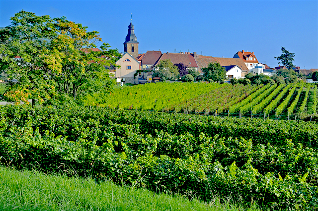 La zona sud, Germania