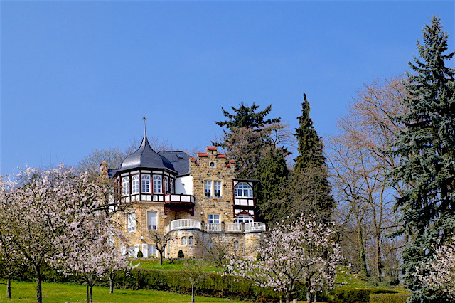 La zona sud, Germania