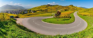 I nostri consigli più utili per il noleggio auto - La guida completa per noleggiare un'auto